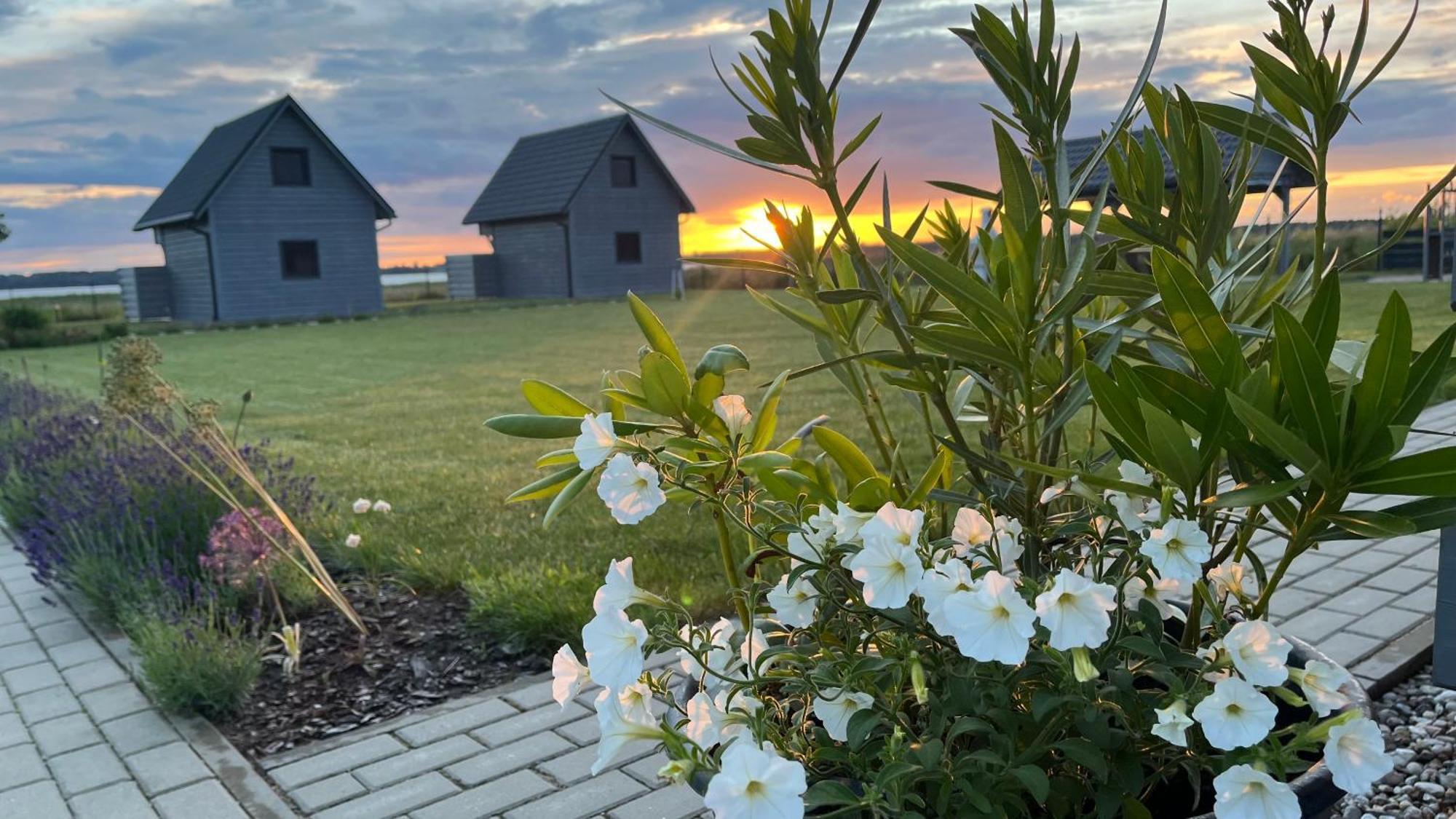 Sloneczna Przystan Villa Dziwnowek Bagian luar foto