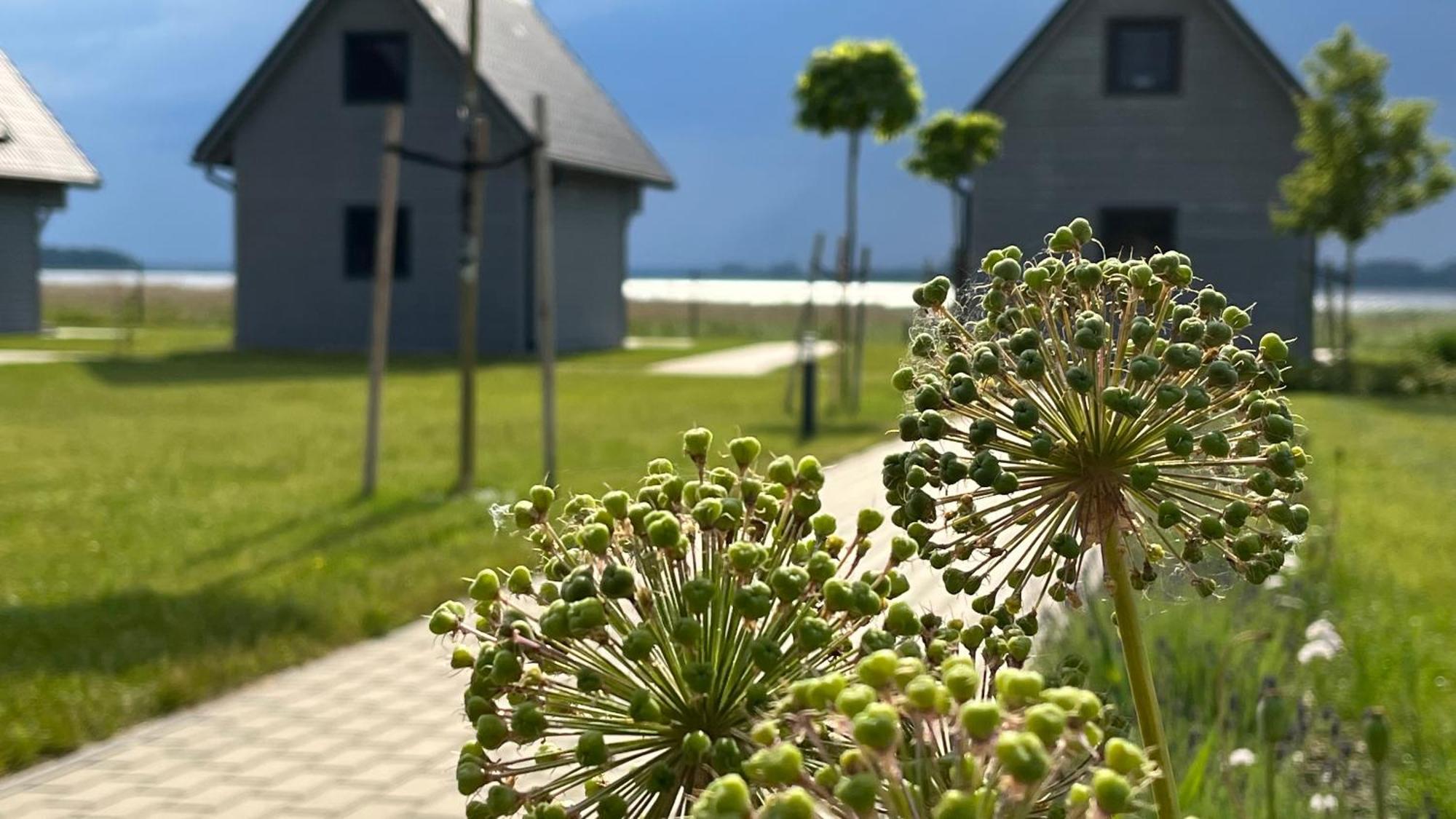 Sloneczna Przystan Villa Dziwnowek Bagian luar foto