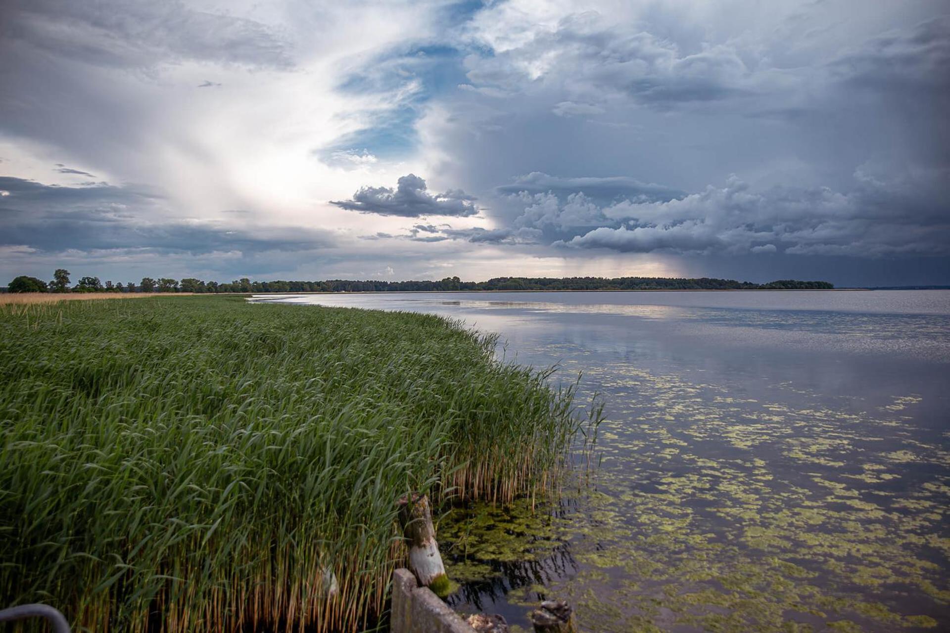 Sloneczna Przystan Villa Dziwnowek Bagian luar foto