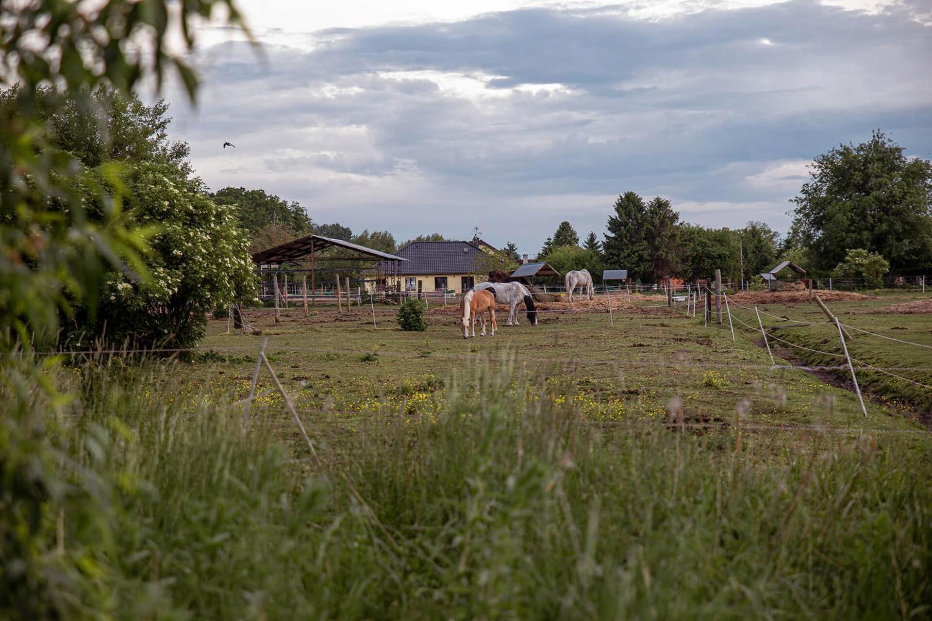 Sloneczna Przystan Villa Dziwnowek Bagian luar foto